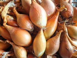 Bamberger Birnenförmige - traditionelle regionale Spezialität