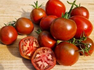 Schwarzer Seebär rotbraune Fleischtomate