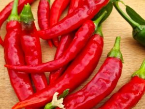 roter Chili Astrachanskij