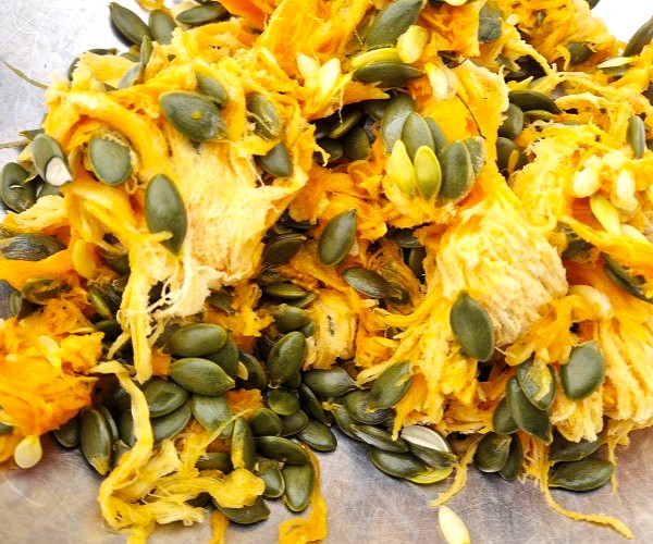 Ölkürbis Comet mit schalenlosen Kürbiskernen