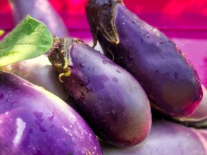 Aubergine Benarys Blaukönigin - frühe Auberginensorte