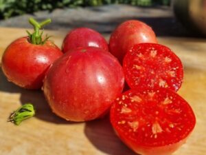 My Family rosa - eine sehr schmackhafte Fleischtomate